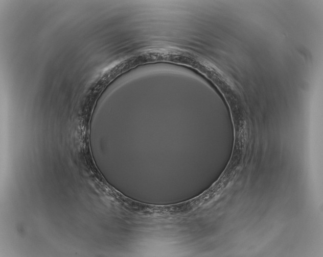 X0000112820822200909041513