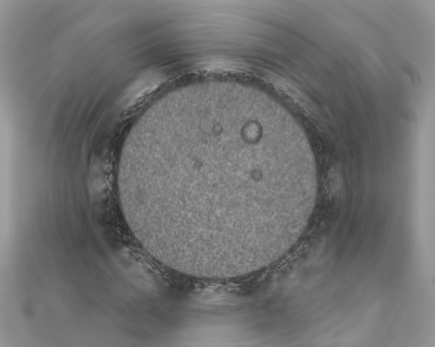 X0000112820824200909041513