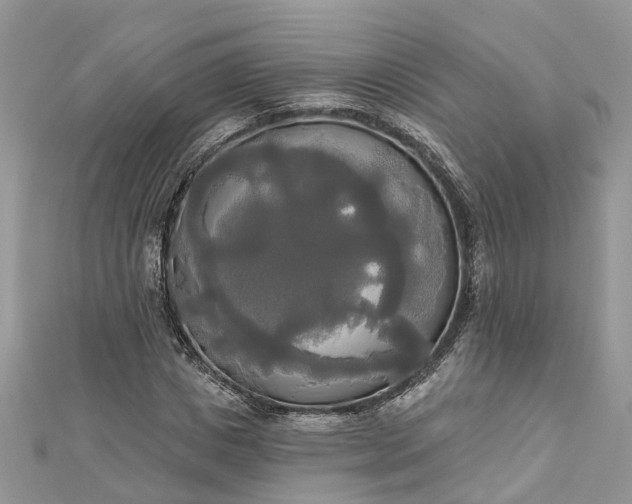 X0000112820825200909041513