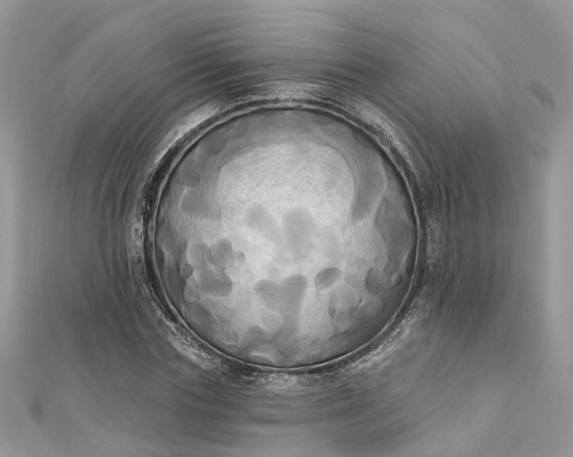 X0000112820827200909041513