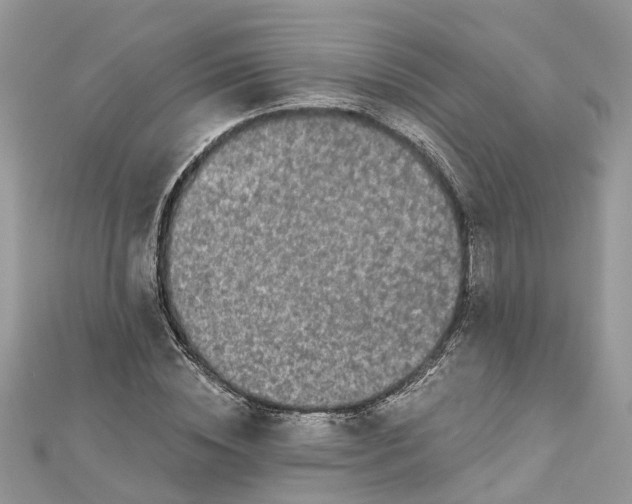 X0000112820828200909041513