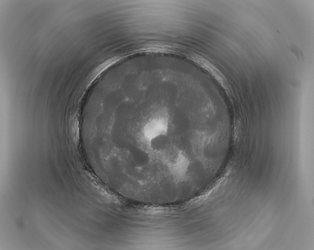 X0000112820829200909041513