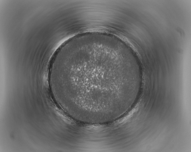 X0000112820830200909041513