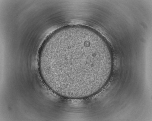 X0000112820832200909041513