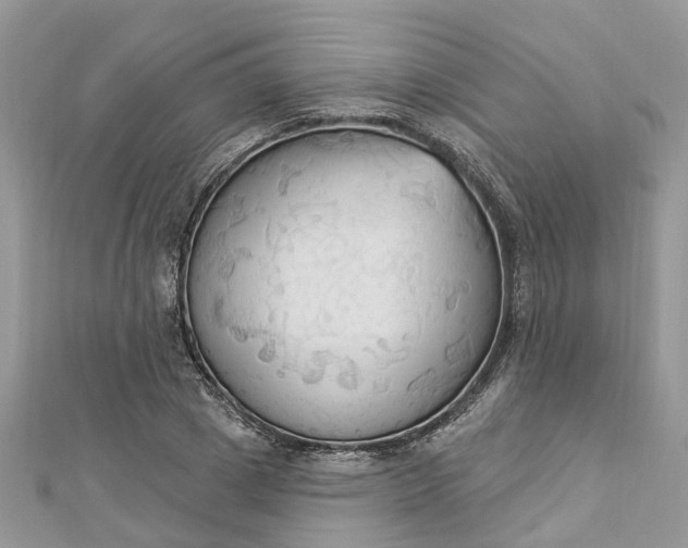 X0000112820833200909041513