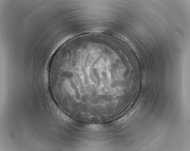 X0000112820835200909041513