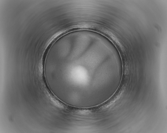 X0000112820837200909041513