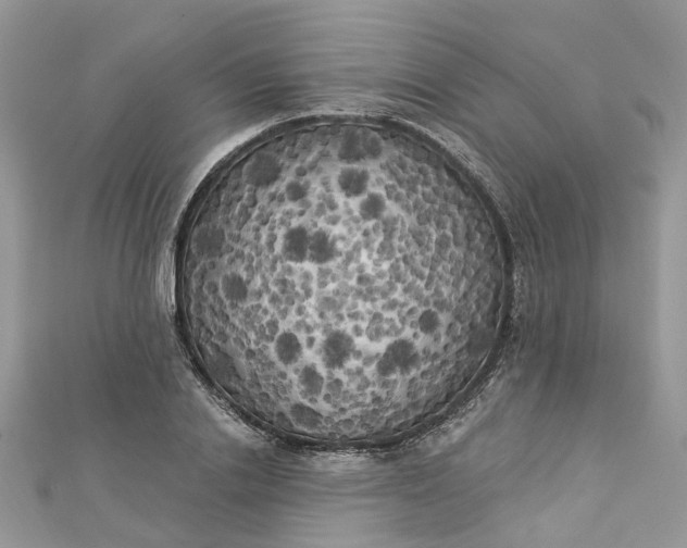 X0000112820838200909041513