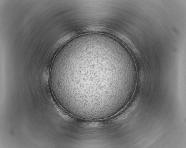 X0000112820841200909041513