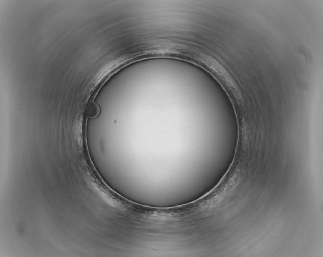 X0000112820842200909041513