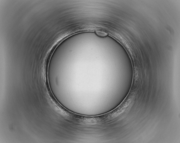 X0000112820843200909041513