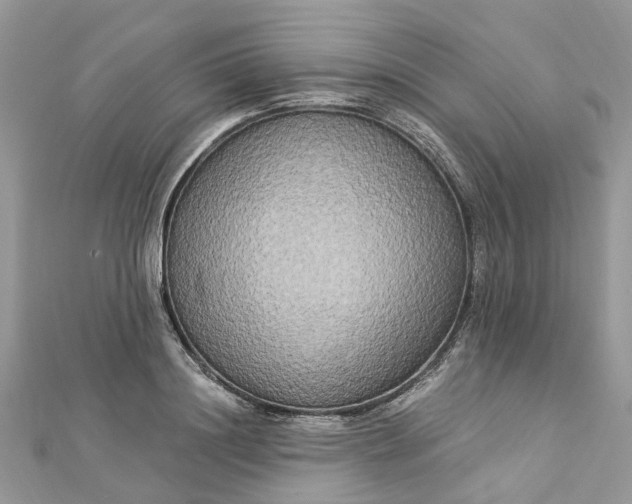 X0000112820844200909041513