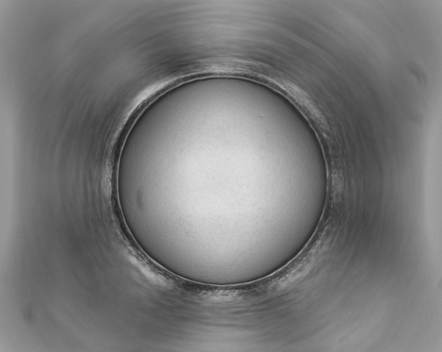 X0000112820846200909041513