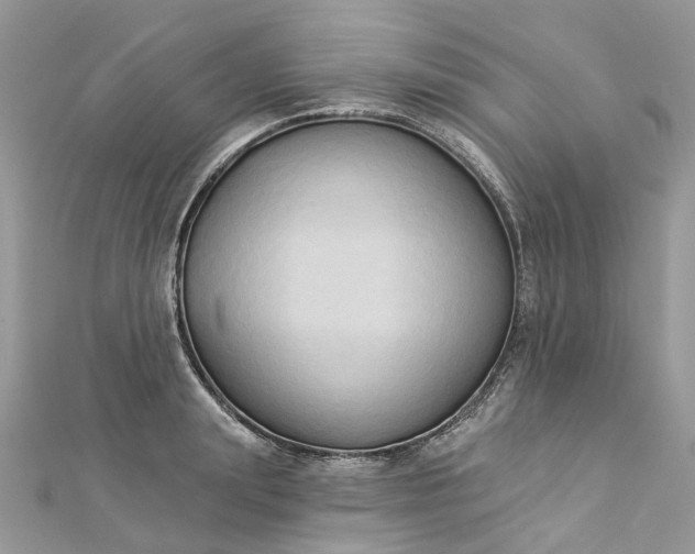 X0000112820847200909041513