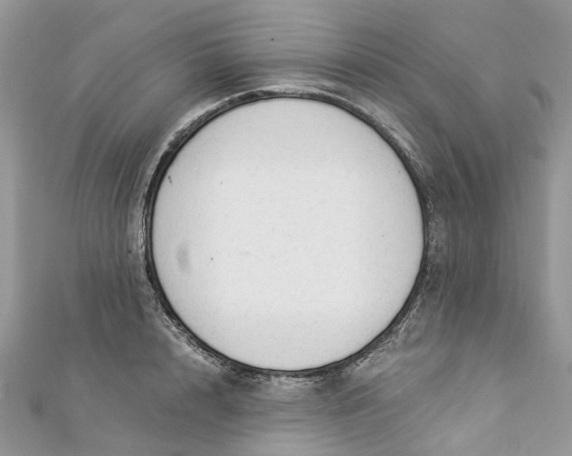 X0000112820848200909041513