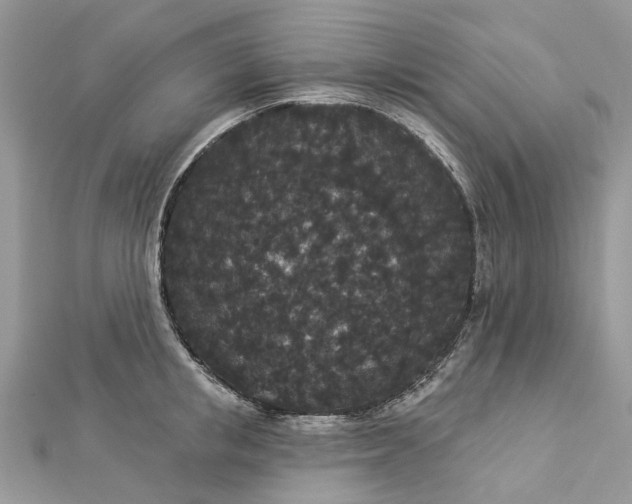 X0000112820853200909041513