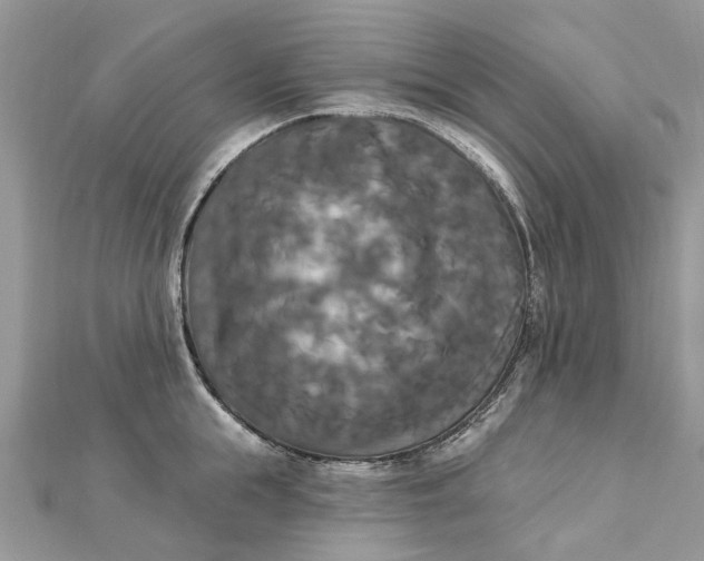 X0000112820855200909041513