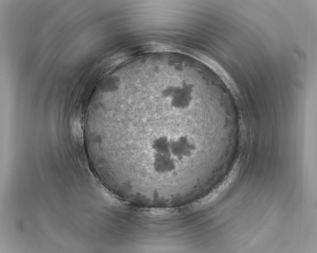 X0000112820857200909041513