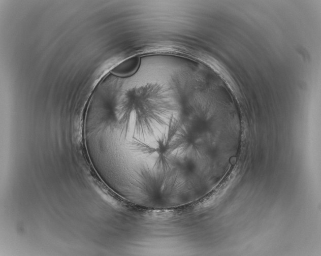 X0000112820858200909041513