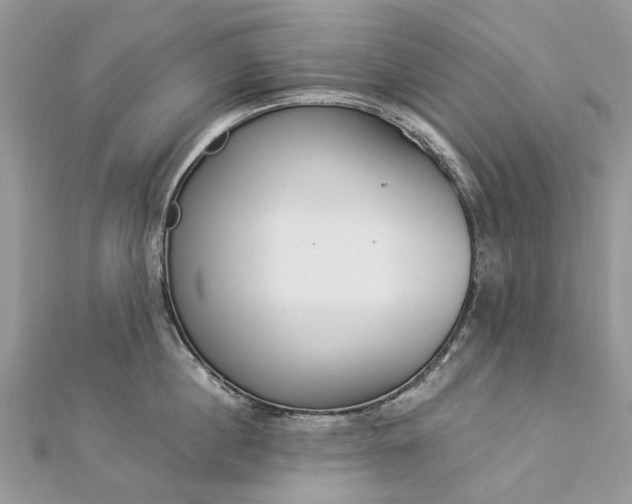 X0000112820860200909041513