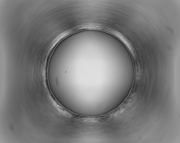 X0000112820861200909041513