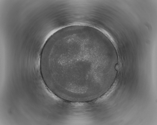 X0000112820862200909041513