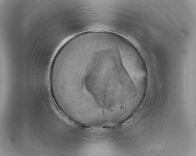 X0000112820864200909041513