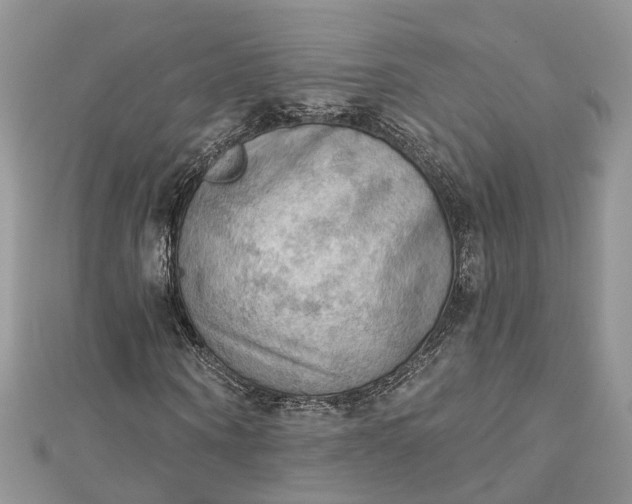 X0000112820866200909041513