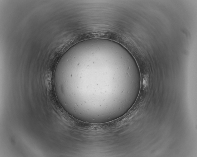 X0000112820867200909041513