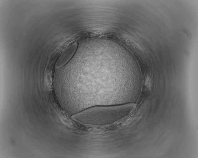 X0000112820868200909041513