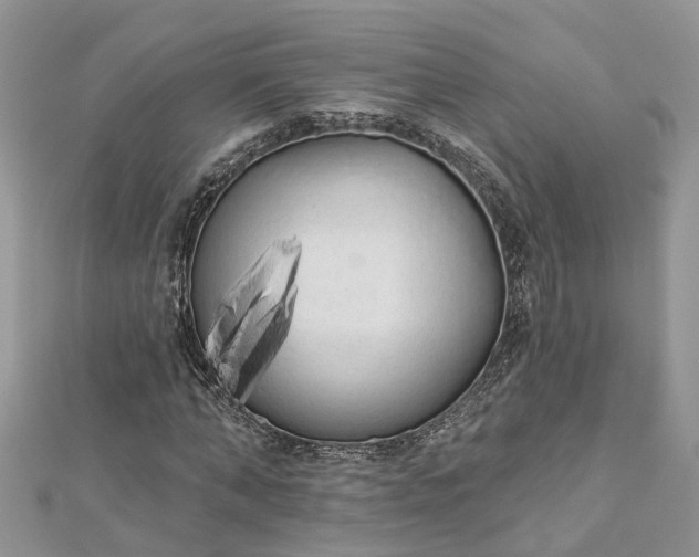 X0000112820870200909041513