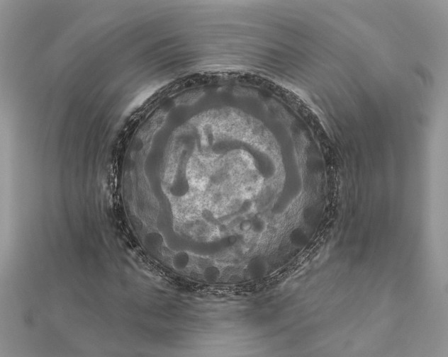 X0000112820871200909041513