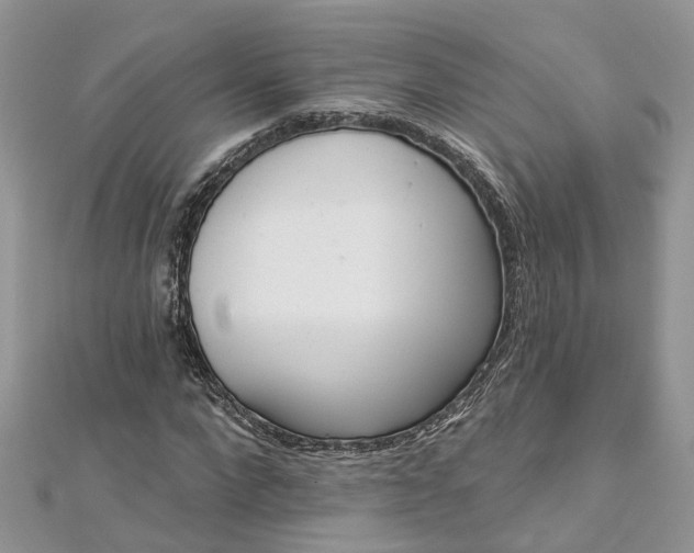 X0000112820872200909041513