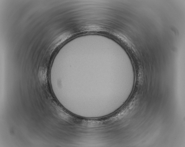 X0000112820873200909041513