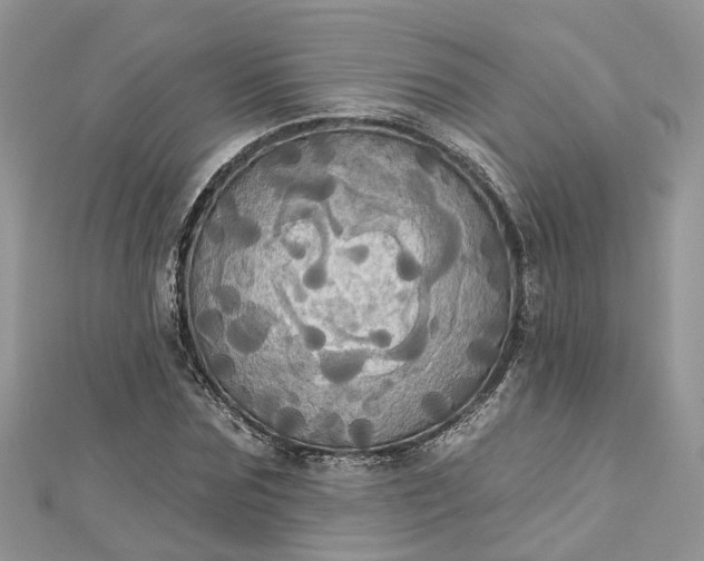 X0000112820875200909041513