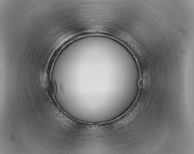 X0000112820876200909041513