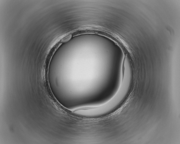 X0000112820877200909041512