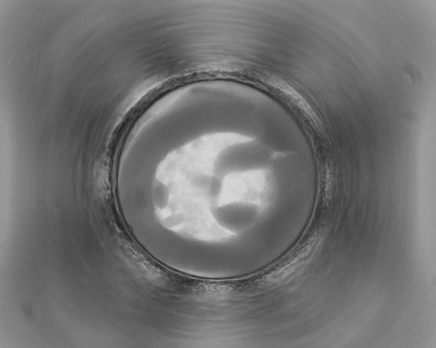 X0000112820878200909041512