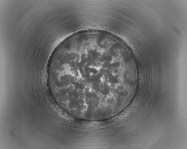 X0000112820879200909041512