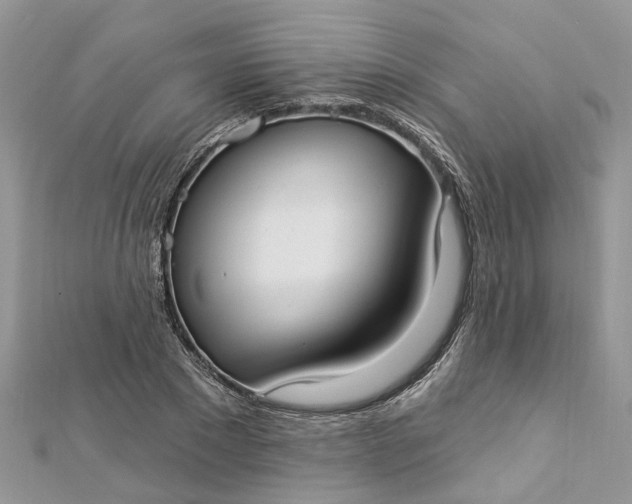 X0000112820881200909041512