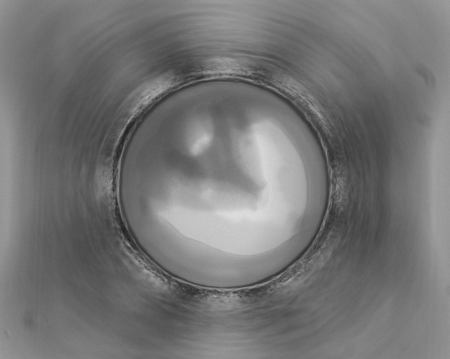 X0000112820882200909041512