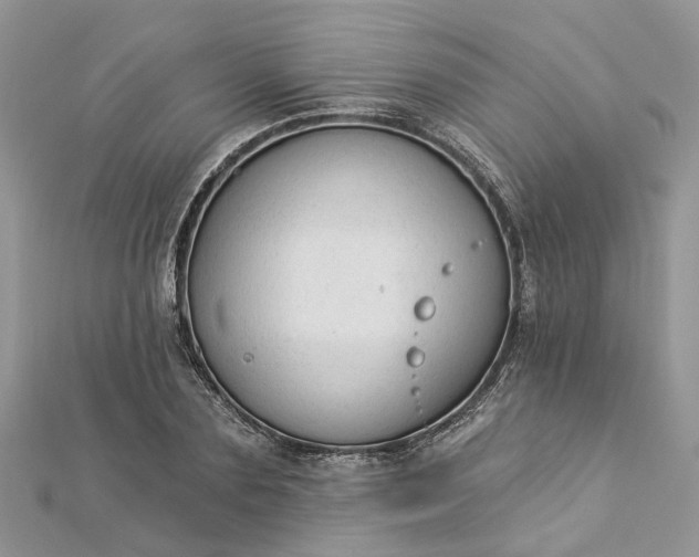 X0000112820883200909041512