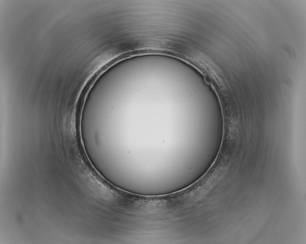 X0000112820884200909041512