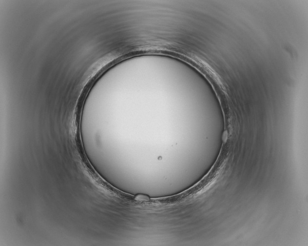 X0000112820885200909041512