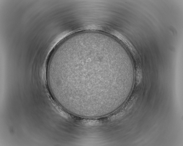 X0000112820886200909041512