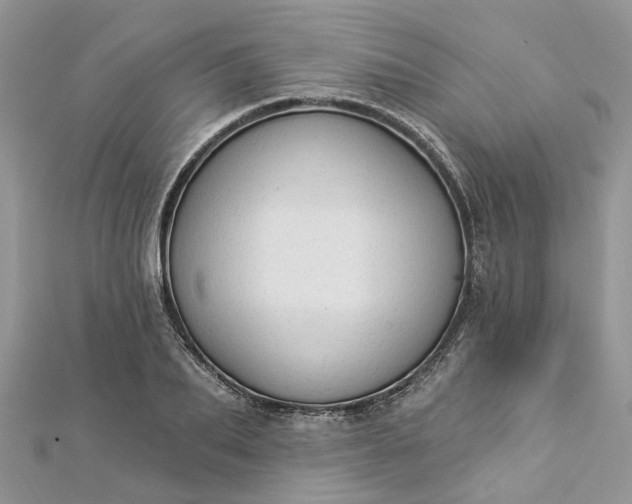 X0000112820887200909041512