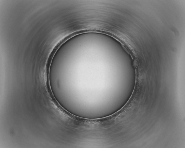 X0000112820888200909041512