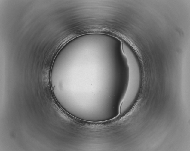 X0000112820889200909041512