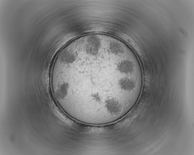 X0000112820890200909041512