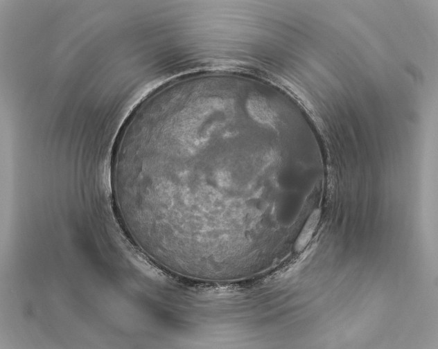 X0000112820891200909041512